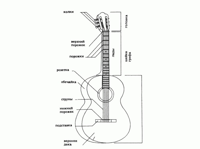 Строение гитары классической 6 струнной схема для начинающих